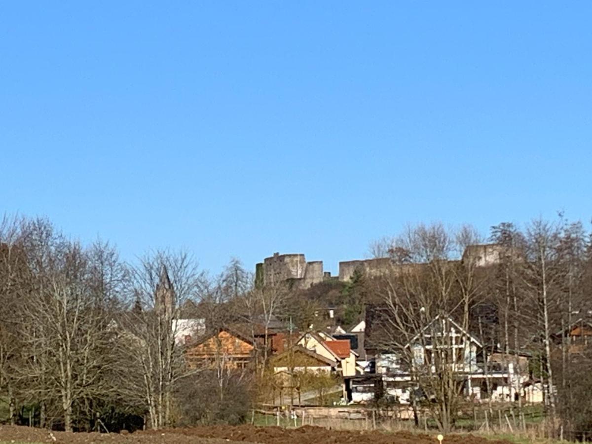 Ferienhaus Eifelstuben Mit Charme - Bauernstube Vulkaneifel - Naehe See Und Burgruine Ulmen Exterior foto